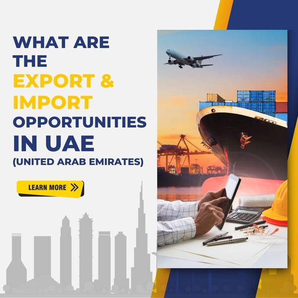What are the export & import opportunities in UAE (United Arab Emirates)